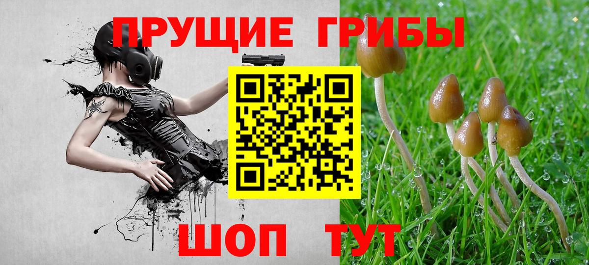 Уссурийск  Псилоцибиновые грибы Magic Shrooms  Вход с VPN  Псилоцибиновые грибы Magic Shrooms 