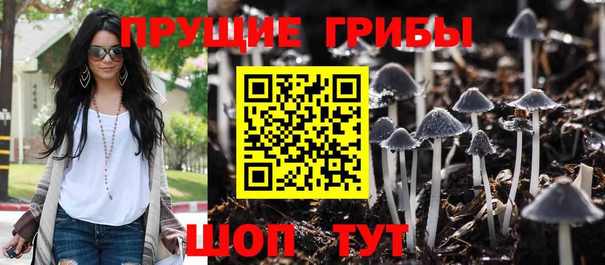 Уссурийск  Кокаин  Вход с VPN  Мефедрон кристаллы  ГАШ  Марихуана  Альфа ПВП СК  
